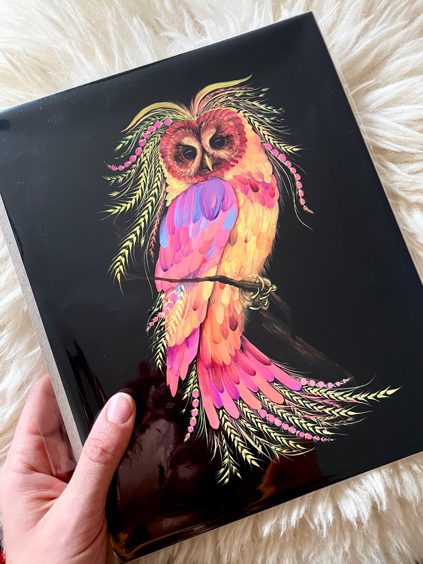 Owl Fine Art Print