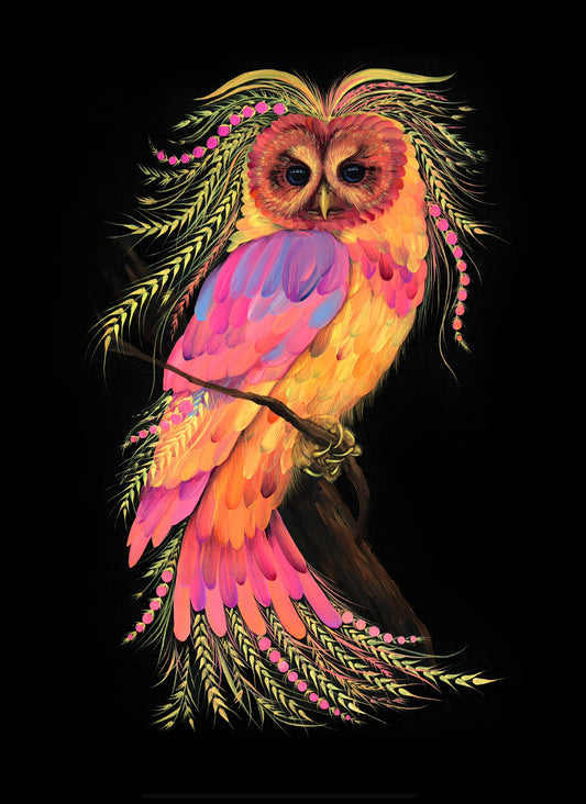 Owl