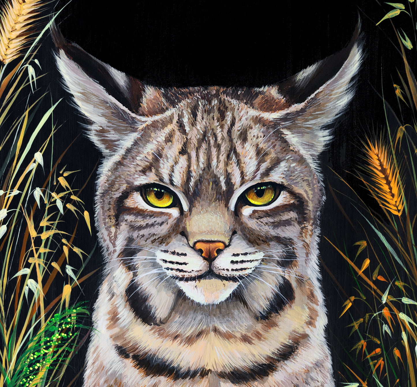 Bobcat Fine Art Print