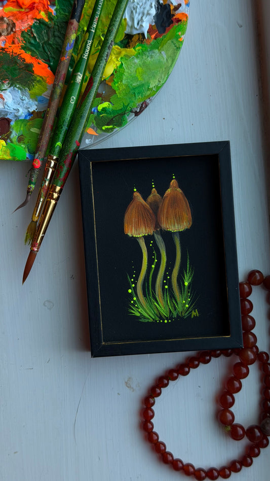 Liberty Cup Mushrooms