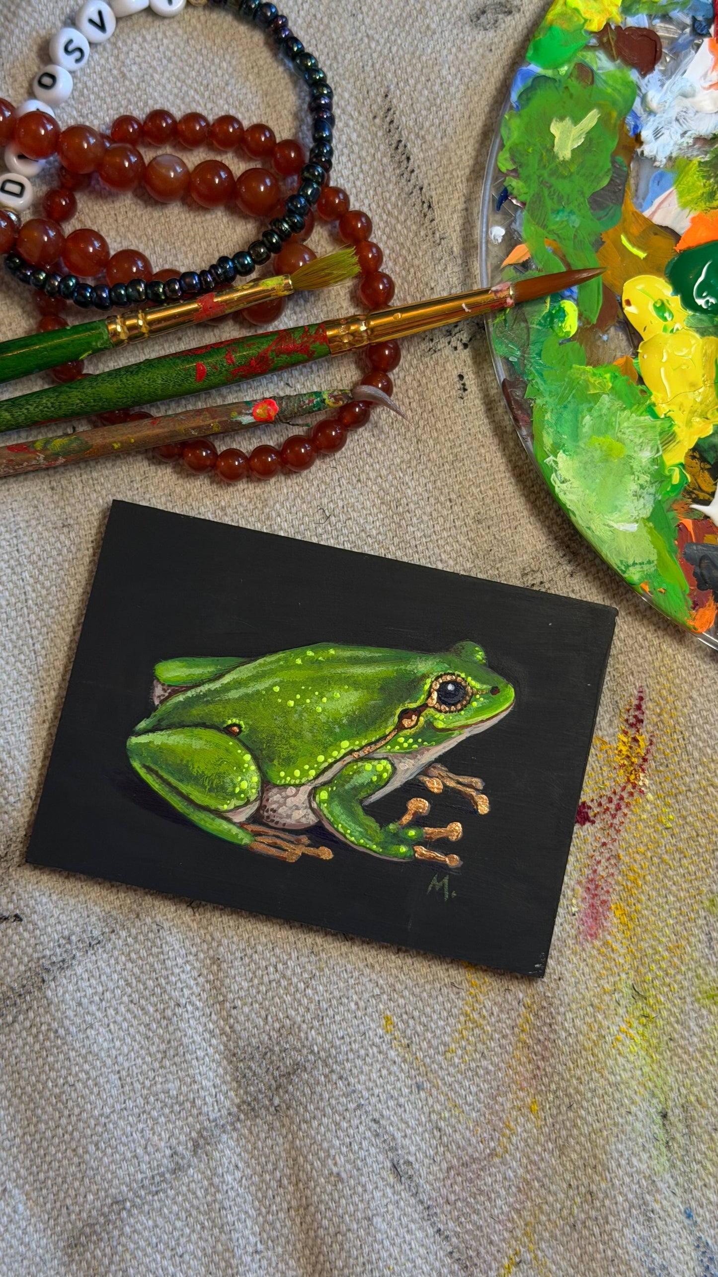 Tree Frog