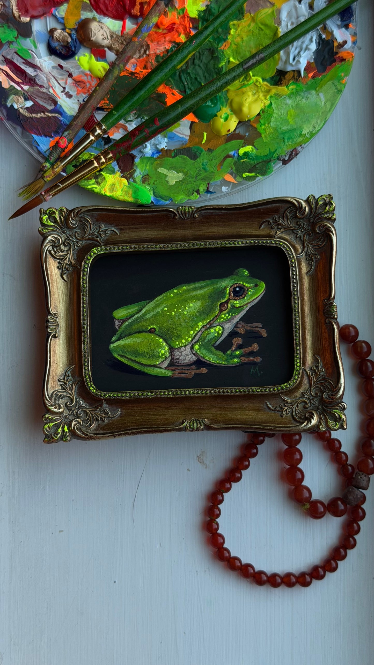 Tree Frog