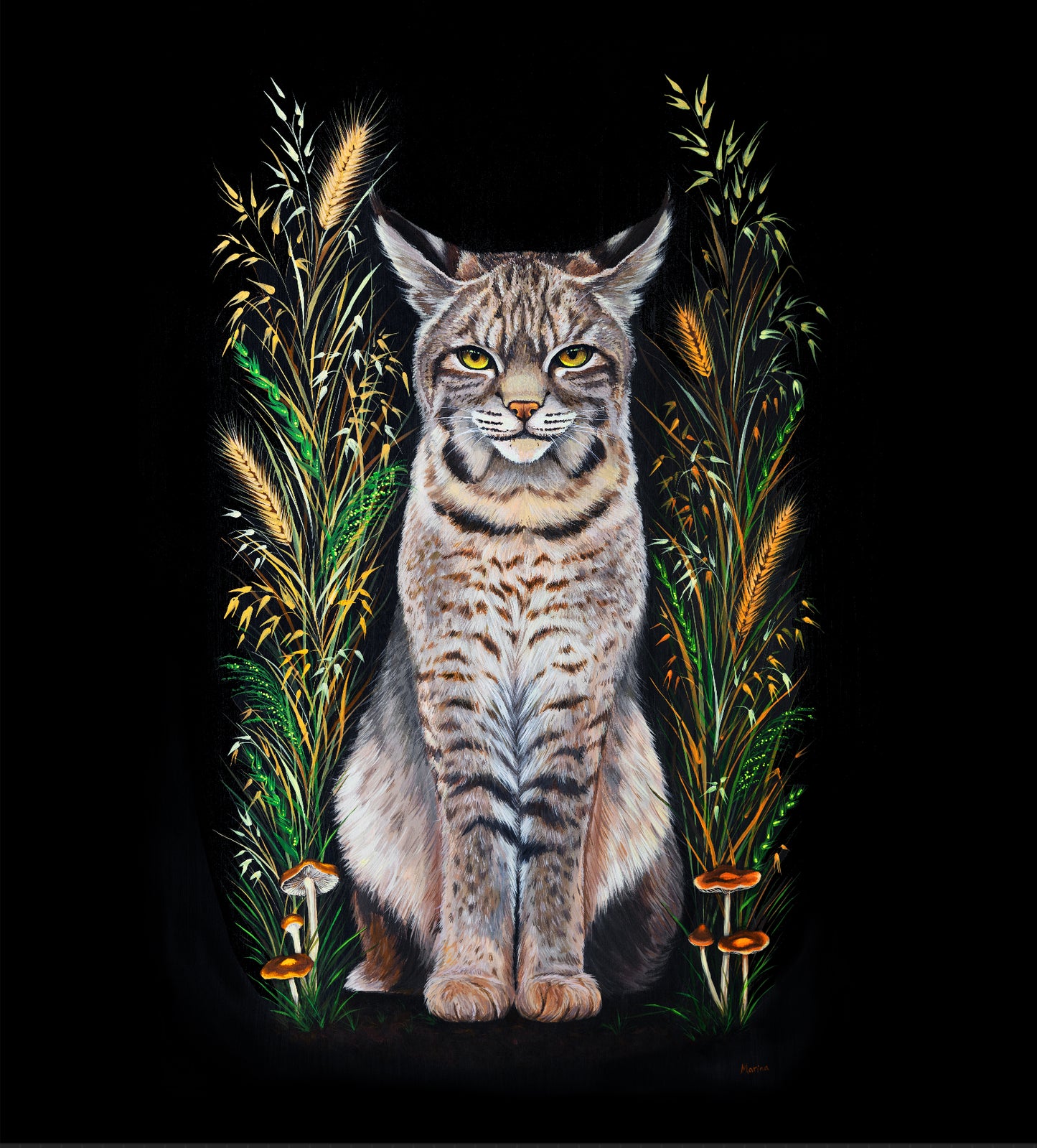 Bobcat Fine Art Print