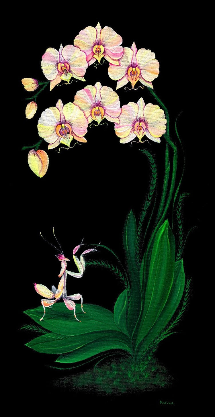 Orchid and Mantis