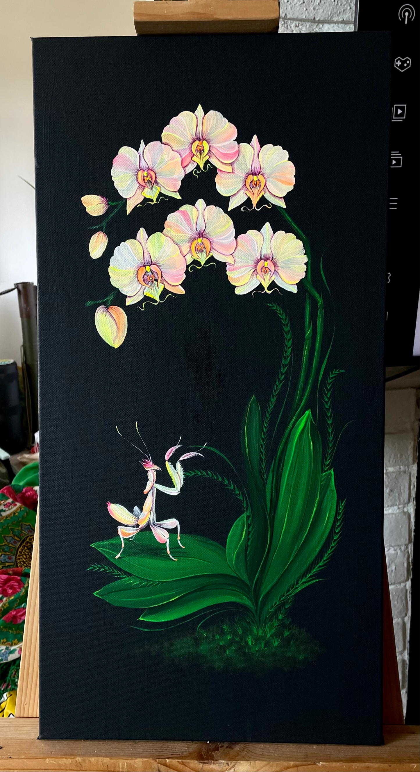 Orchid and Mantis