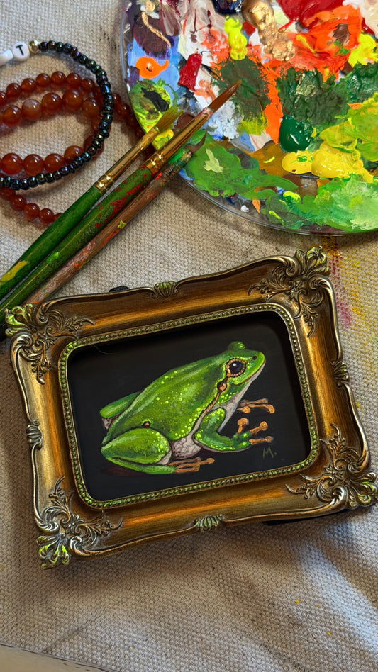 Tree Frog