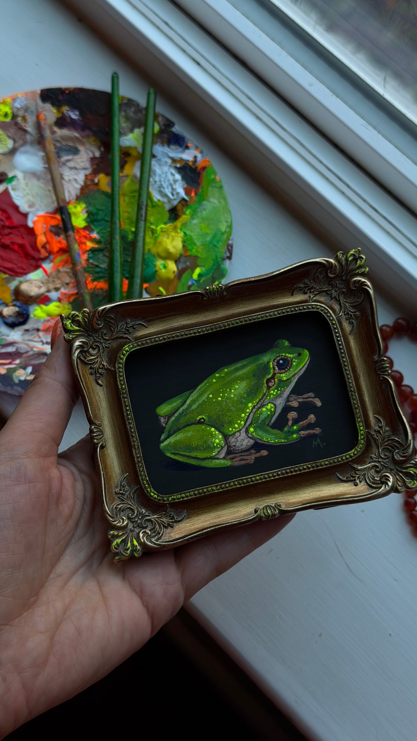 Tree Frog