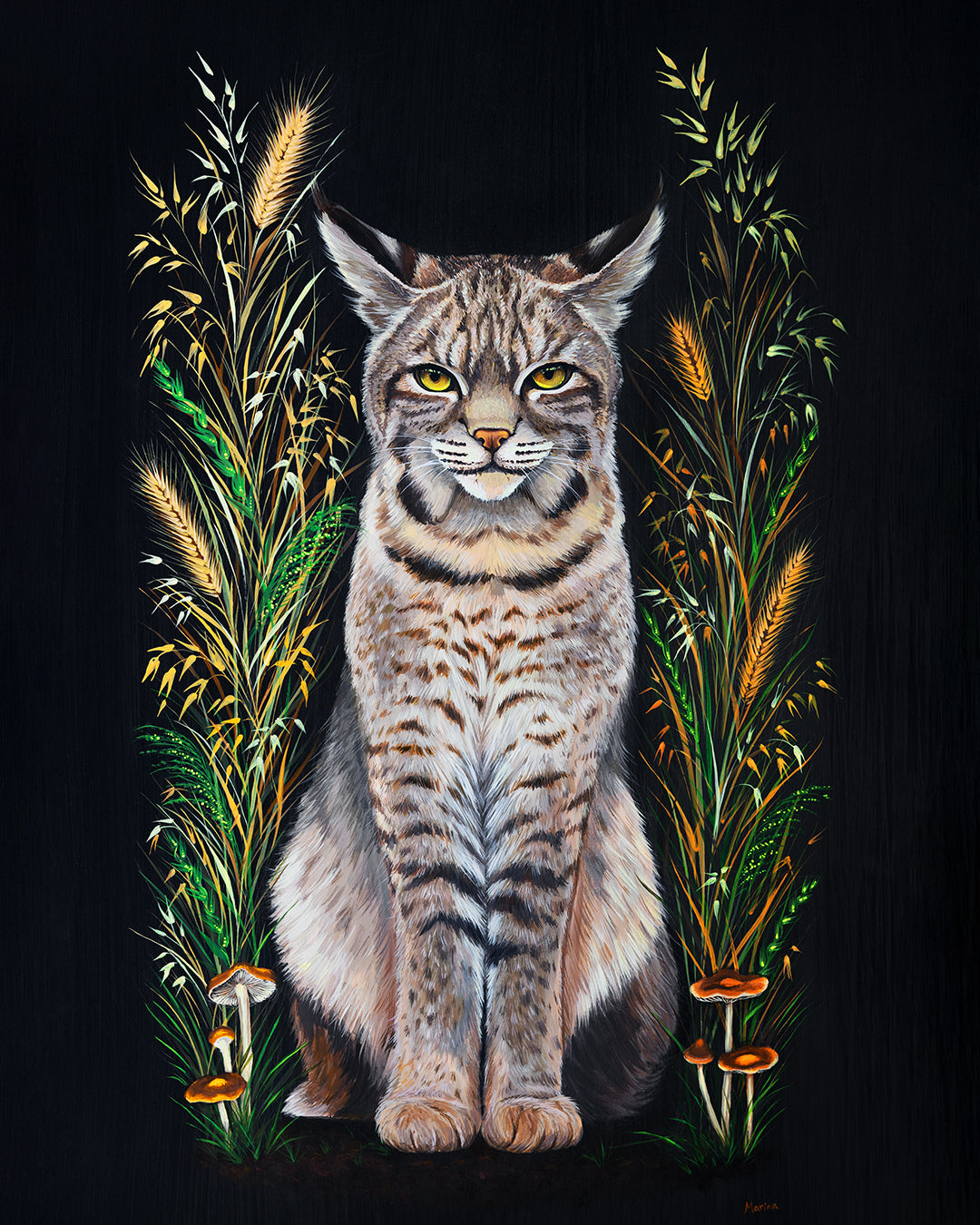 Bobcat