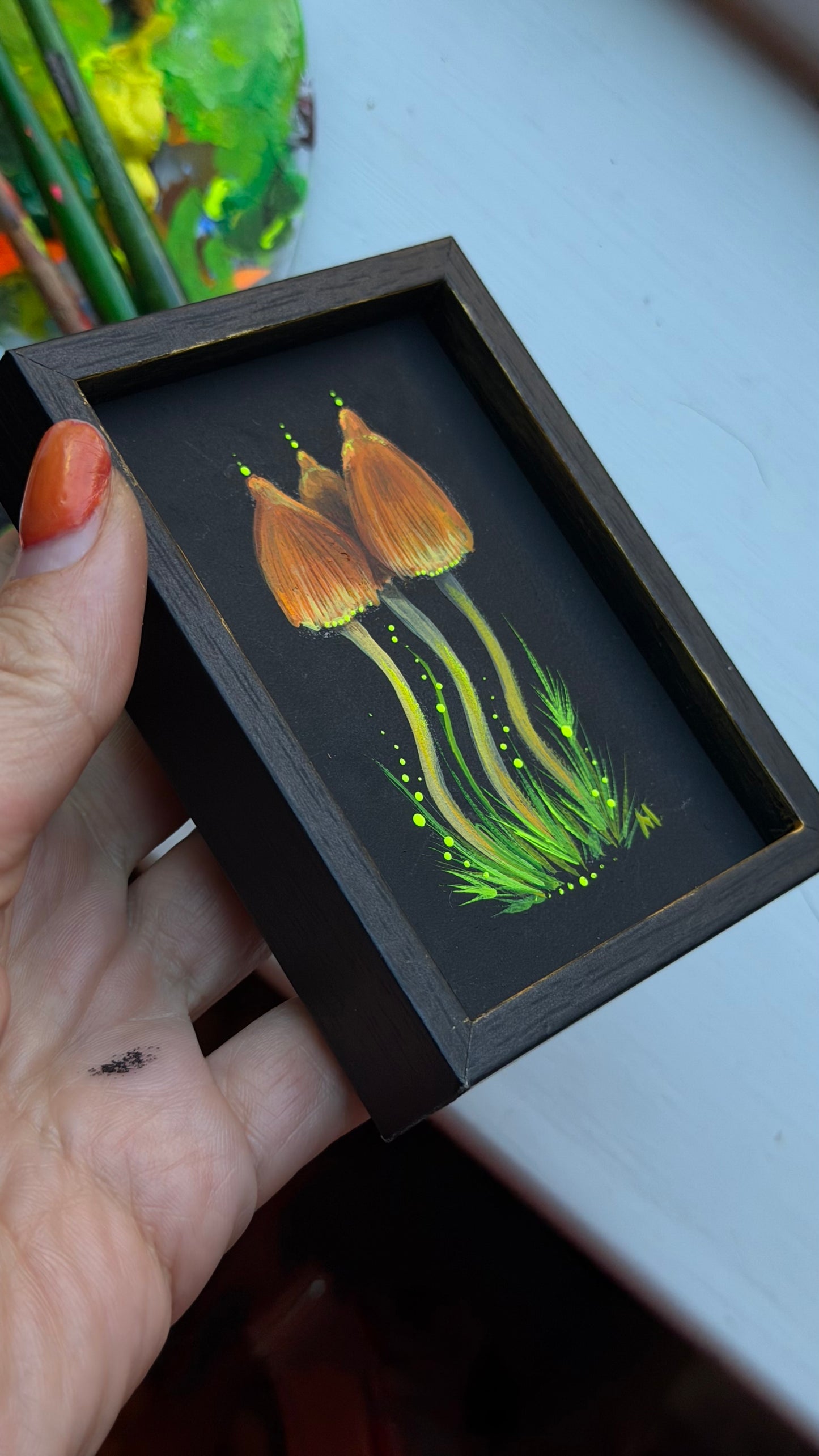 Liberty Cup Mushrooms