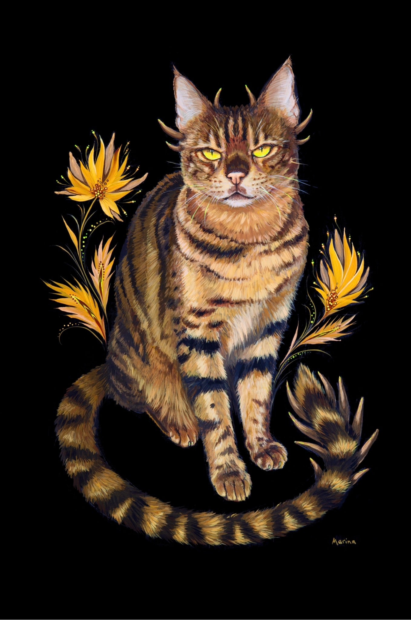 Dragon Cat