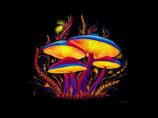 Light Inside Us